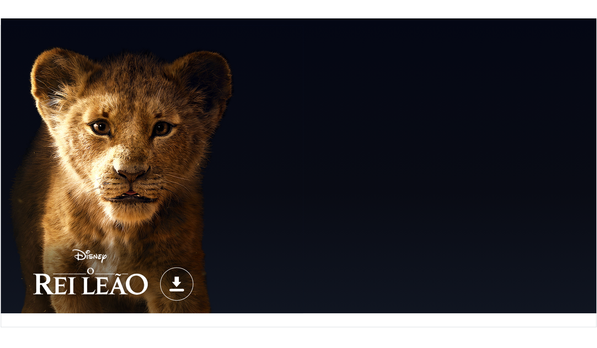 Fundo Rei Leão